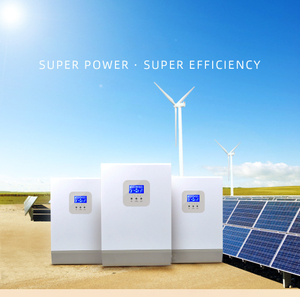 DC To AC High Frequency 5kva Inverter Off Grid Pure Sine Wave Inverter Built in 80A MPPT Solar Hybrid Inverter ECO Mode